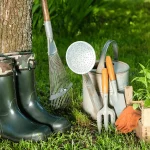 Essential Gardening Tools for Beginners