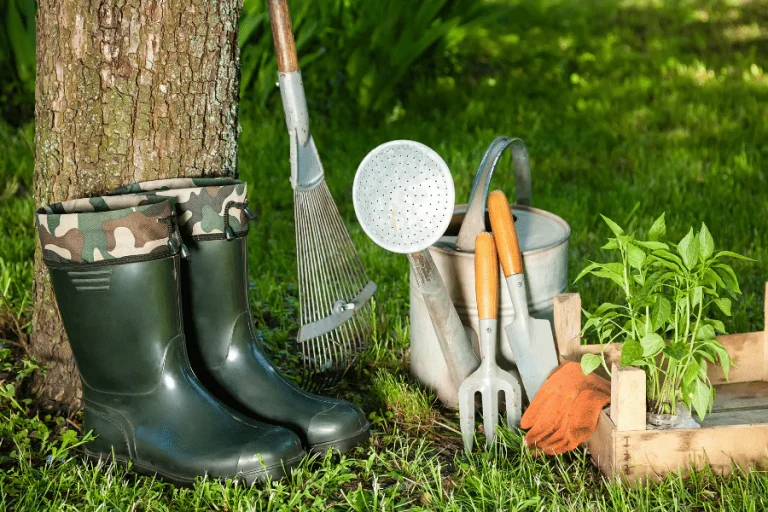 Essential Gardening Tools for Beginners
